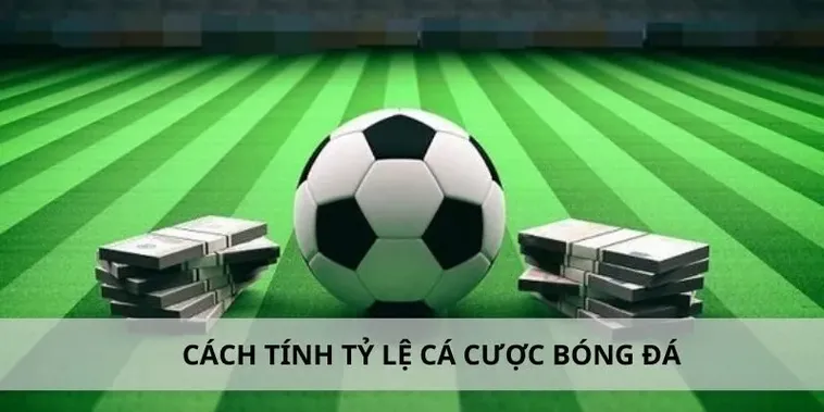 Tìm Hiểu Cá Cược Bóng Đá OK365 Đỉnh Cao Giải Trí Hấp Dẫn 2025