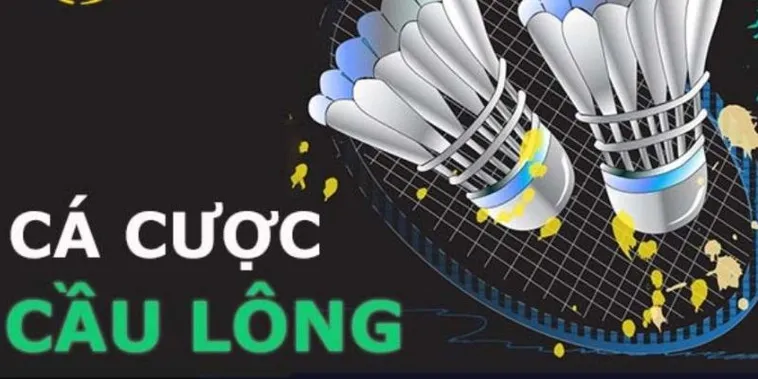 Cách Chơi Cá Cược Cầu Lông Tại OK365 Thú Vị