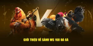 Cách Chơi Đá Gà WS168 Tại OK365 Hấp Dẫn Và Thắng Lớn