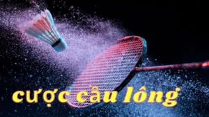 Cách Chơi Cá Cược Cầu Lông Tại OK365 Thú Vị
