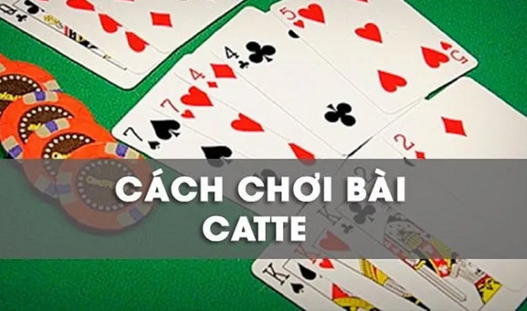 Cách Chơi Sắc Tê Nhà Cái OK365 Đỉnh Cao Cho Người Mới